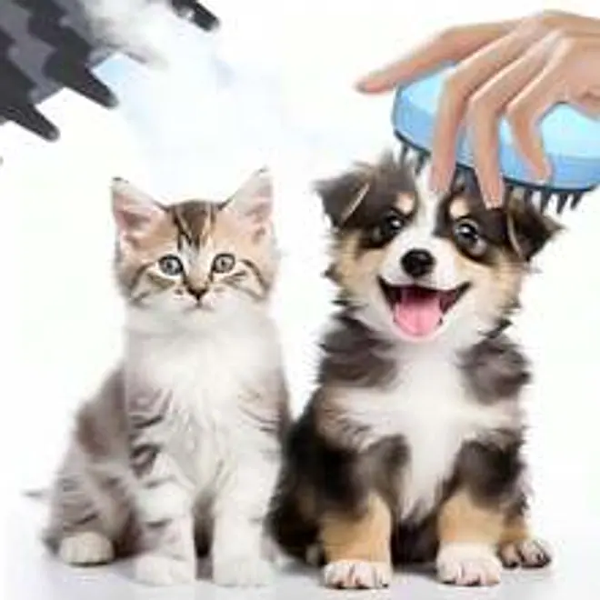 Un gatito y un perro sentados junto a una mano que cepilla al perro